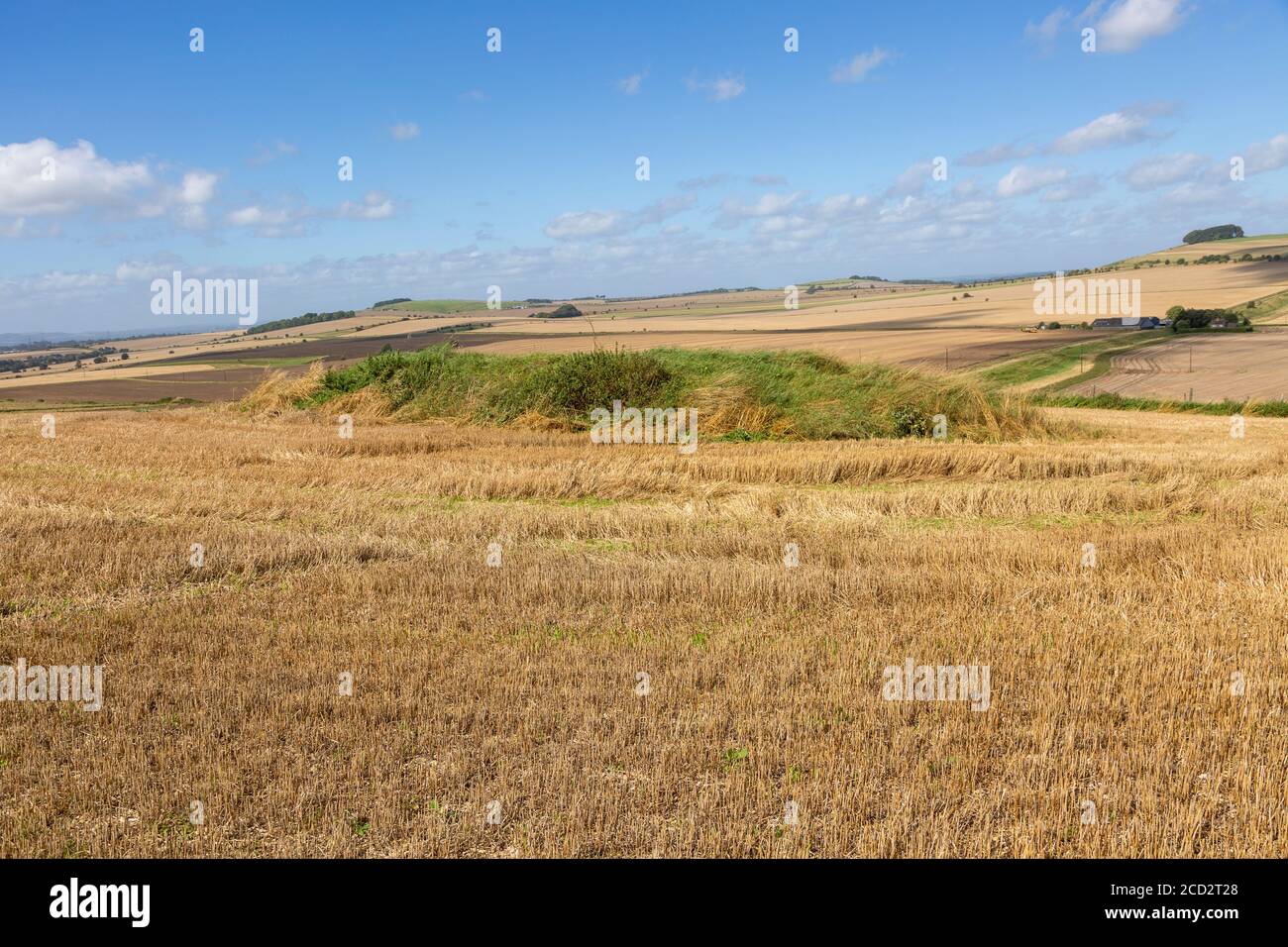 Chalk landscape North Wessex Downs AONB, view from Bishops Cannings Down, Wiltshire, England, UK - tumulus foreground Stock Photo