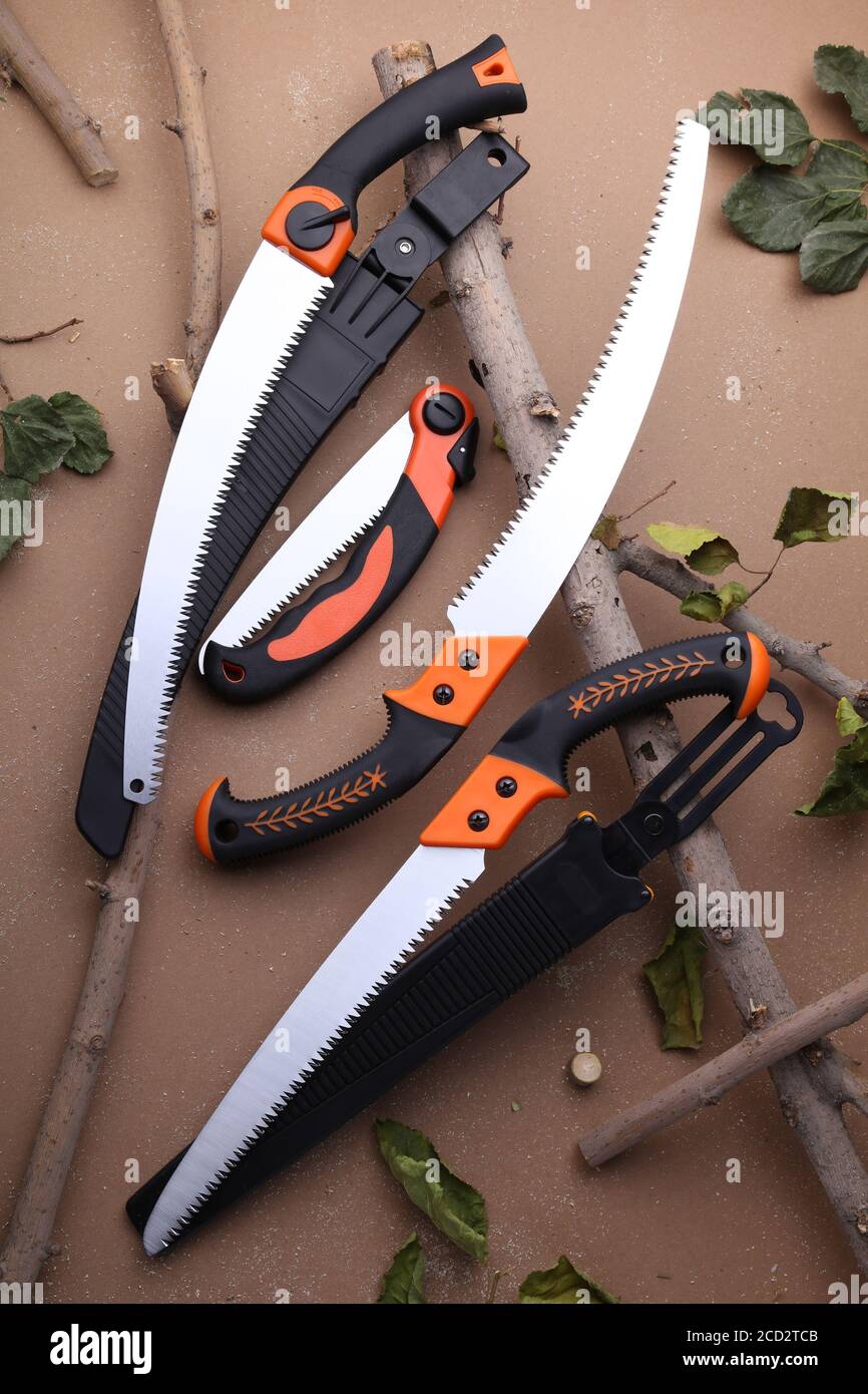 Garden saws cut with dry twigs Stock Photo