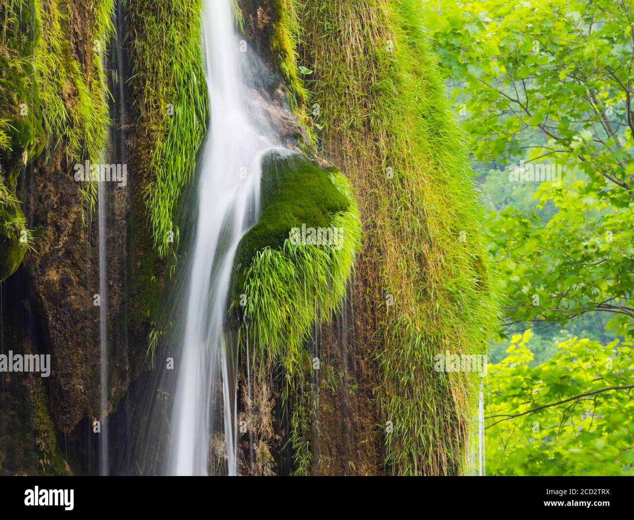 National park Plitvice lakes in Croatia Europe water flowing waterflow waterfall scenic scenery Stock Photo