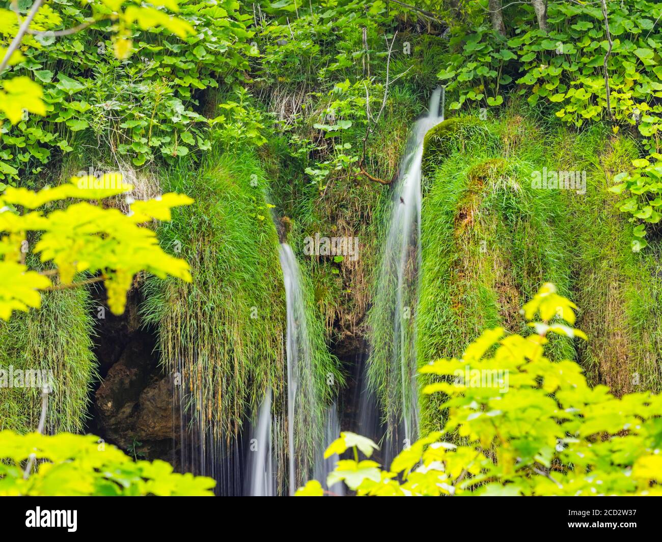 National park Plitvice lakes in Croatia Europe water flowing waterflow waterfall scenic scenery Stock Photo