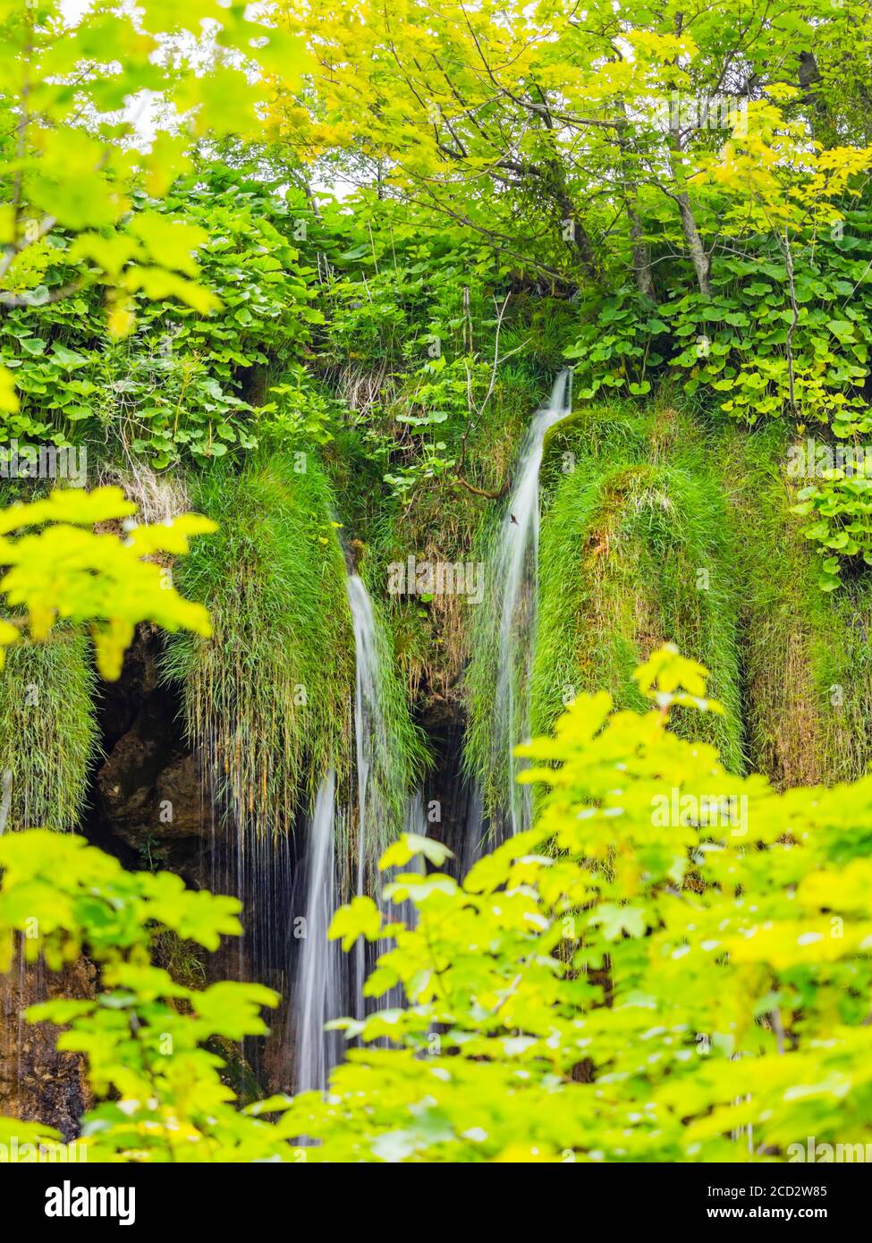 National park Plitvice lakes in Croatia Europe water flowing waterflow waterfall scenic scenery Stock Photo