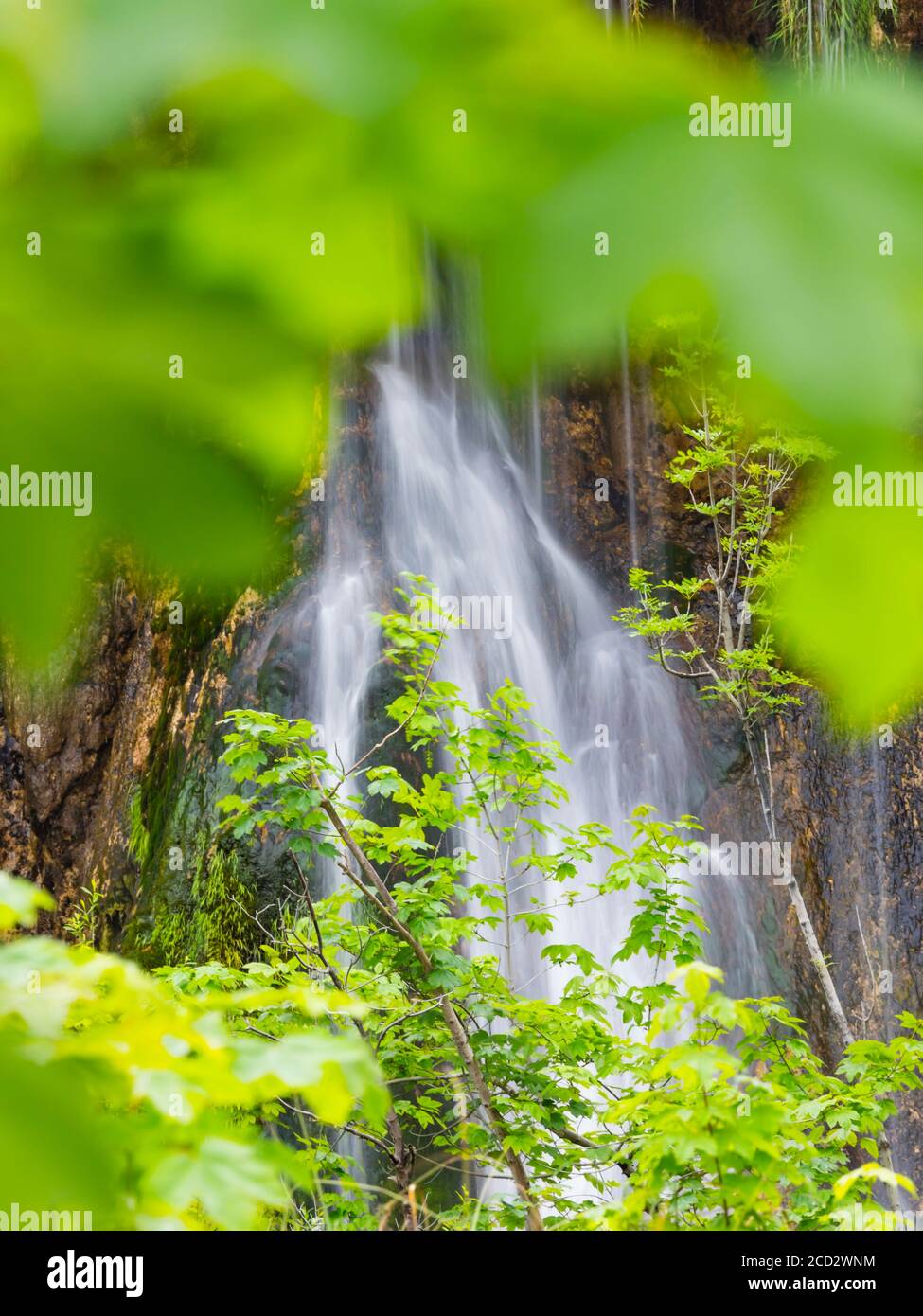 National park Plitvice lakes in Croatia Europe water flowing waterflow waterfall scenic scenery Stock Photo