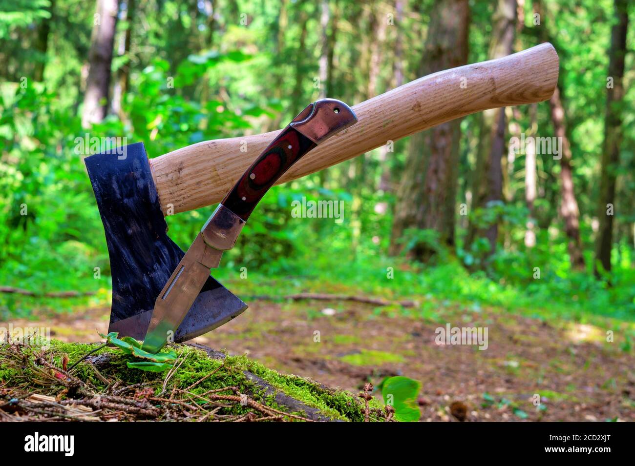 Axe or chopper with folding pocket knife with their blades stuck in a