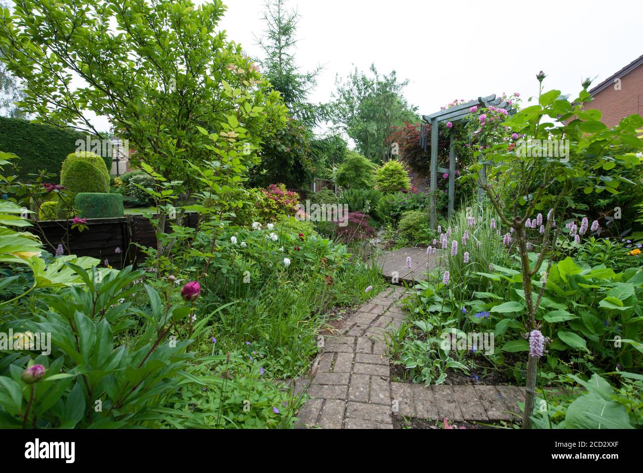 Garden design herbaceous border hi-res stock photography and images - Alamy