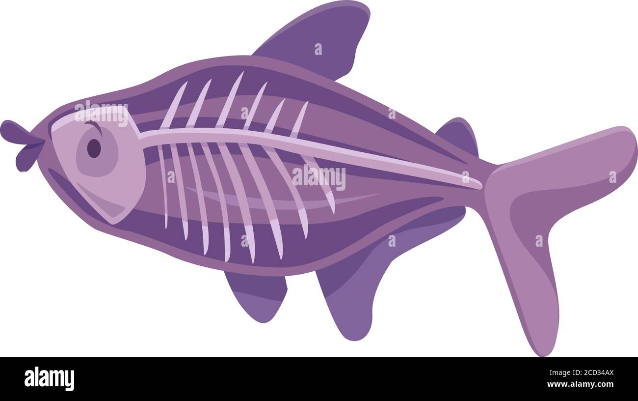 Cartoon Illustration of Funny X-ray Fish Animal Character Stock Vector