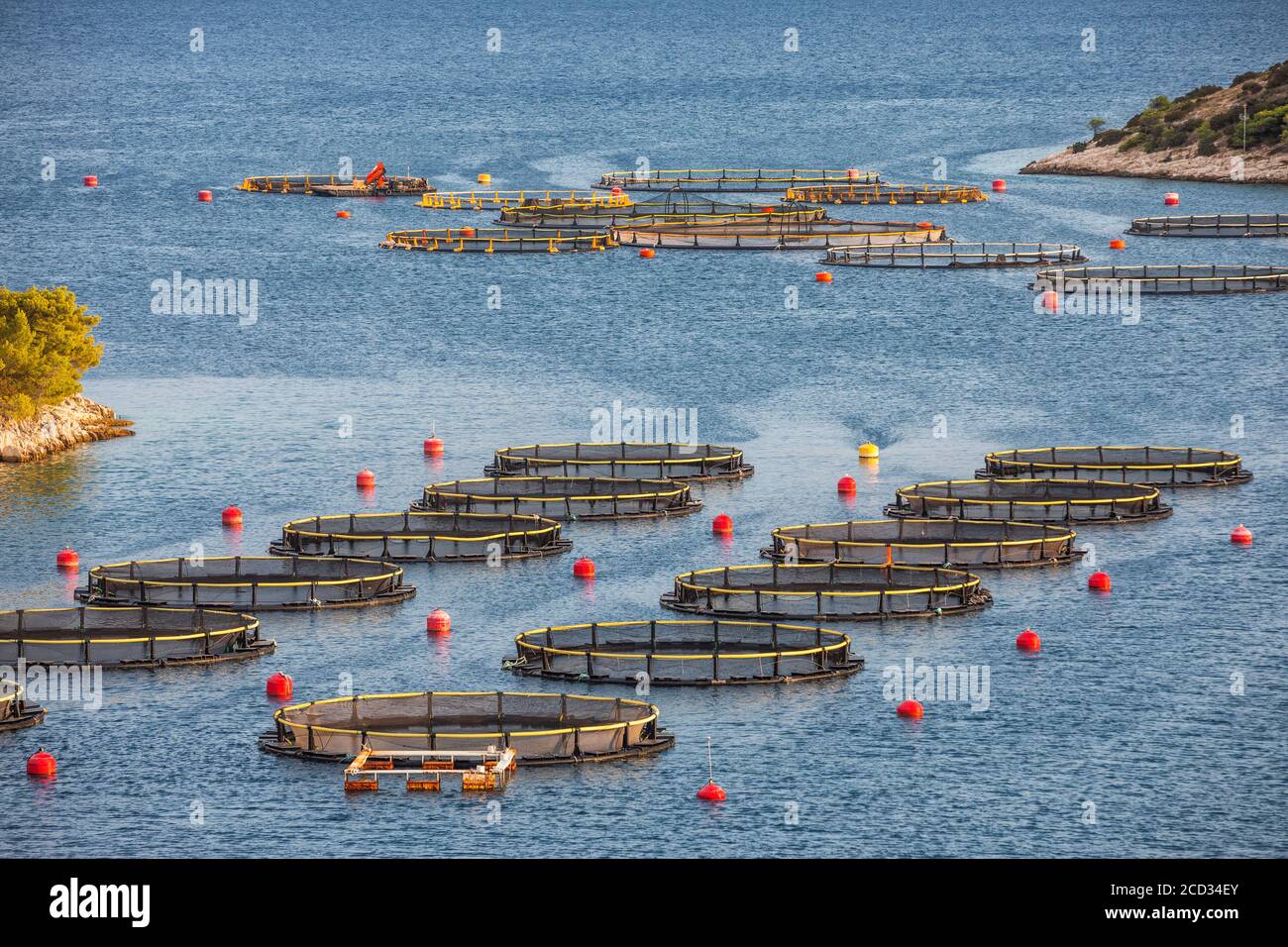 Fish farm in Croatia Stock Photo