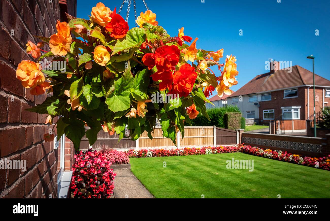Hanging basket uk garden hires stock photography and images Alamy