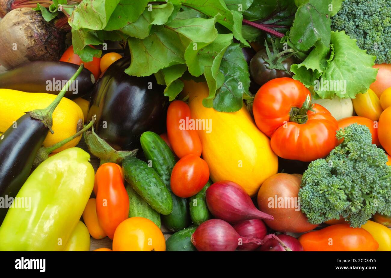 Many different colorful vegetables fill the frame. Harvest and summer season concept Stock Photo