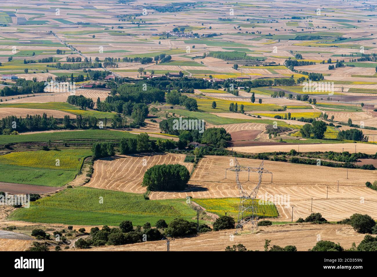 High angle view of farmland with fields for sunflower cultivation. Summer time, La Bureba, Burgos Stock Photo