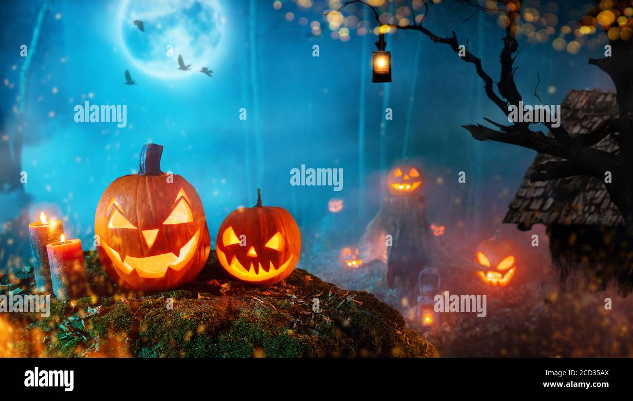 Spooky halloween pumpkins in dark mistery forest. Scary halloween background with free space for text. Stock Photo