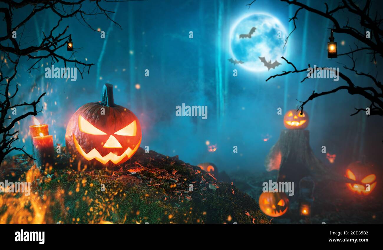Spooky halloween pumpkins in dark forest. Scary halloween background with free space for text. Stock Photo