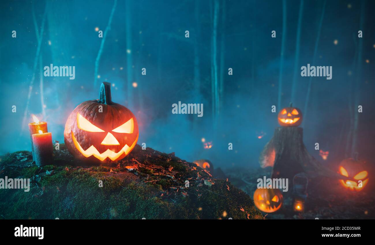 Spooky halloween pumpkins in forest. Scary halloween background with free  space for text Stock Photo - Alamy