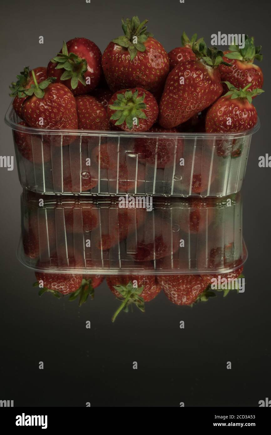 Fresh strawberries in a clear plastic box. On a mirror black background Stock Photo