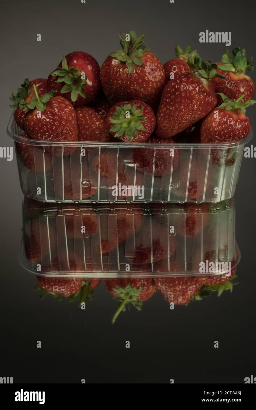Fresh strawberries in a clear plastic box. On a mirror black background Stock Photo
