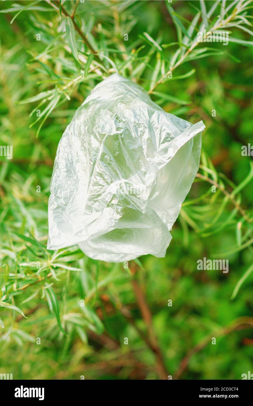 Loads of Trash Bags Sitting Out on the Curb Near a Tree with a Black Picket  Fence and Shrub Background in Urban or Stock Photo - Image of hand, trash:  263643134