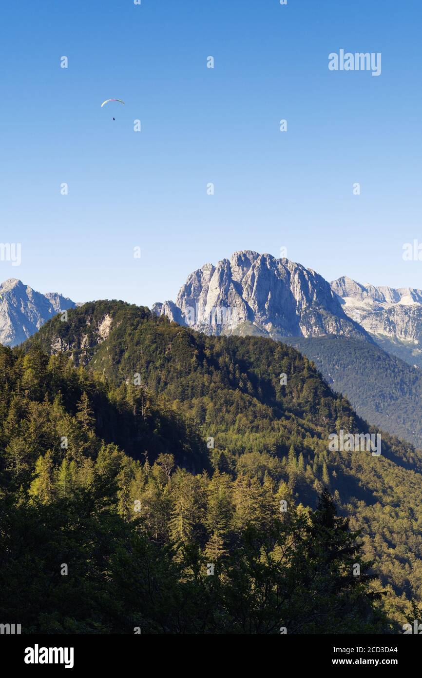 Distant paraglider flying over coniferous forest hills and alpine mountain range. Paragliding, nature, tourism, mountaineering and forestry concepts Stock Photo