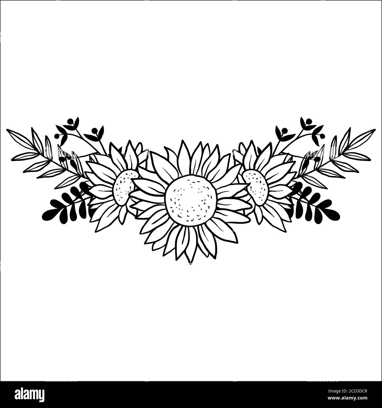 Vector image of hand drawn sunflowers Stock Vector Image & Art - Alamy