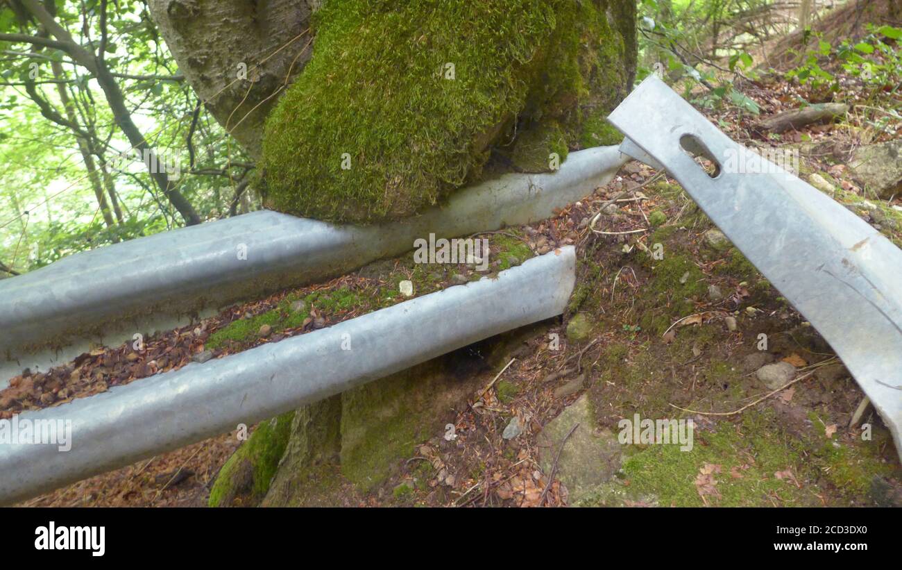 guardrail overgrown by a tree trunk, Italy, South Tyrol Stock Photo