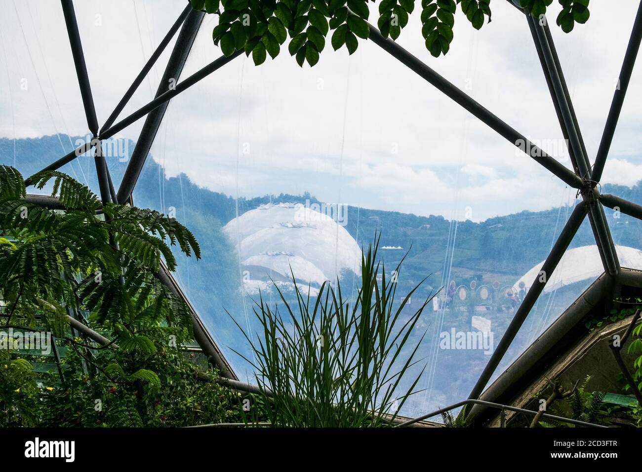 The Ethylene tetrafluorothylene film covering the rainforest biome at the Eden project complex in Cornwall. Stock Photo