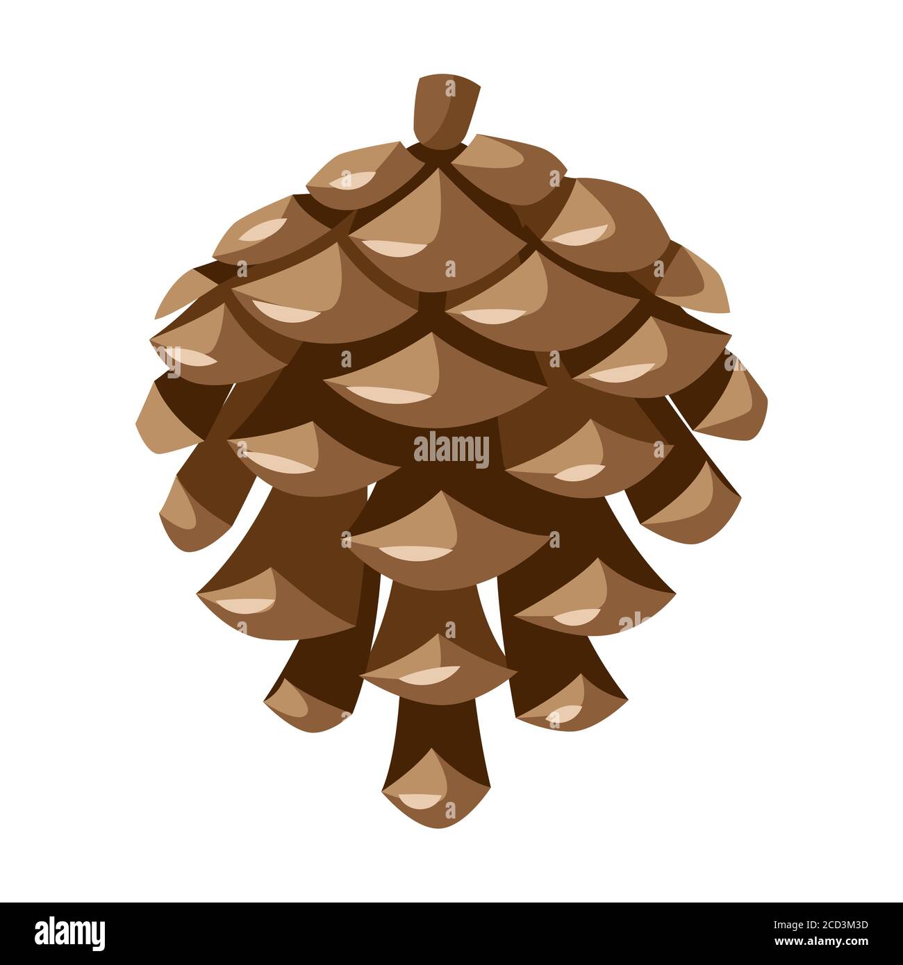 Illustration of pine cone Stock Vector Image & Art Alamy