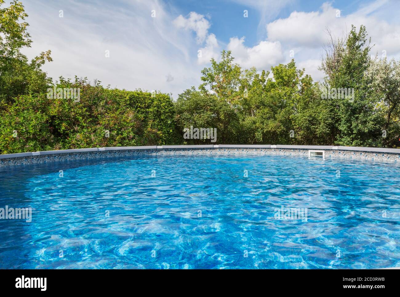 Outdoor pool surrounded by deciduous trees in residential backyard. Stock Photo
