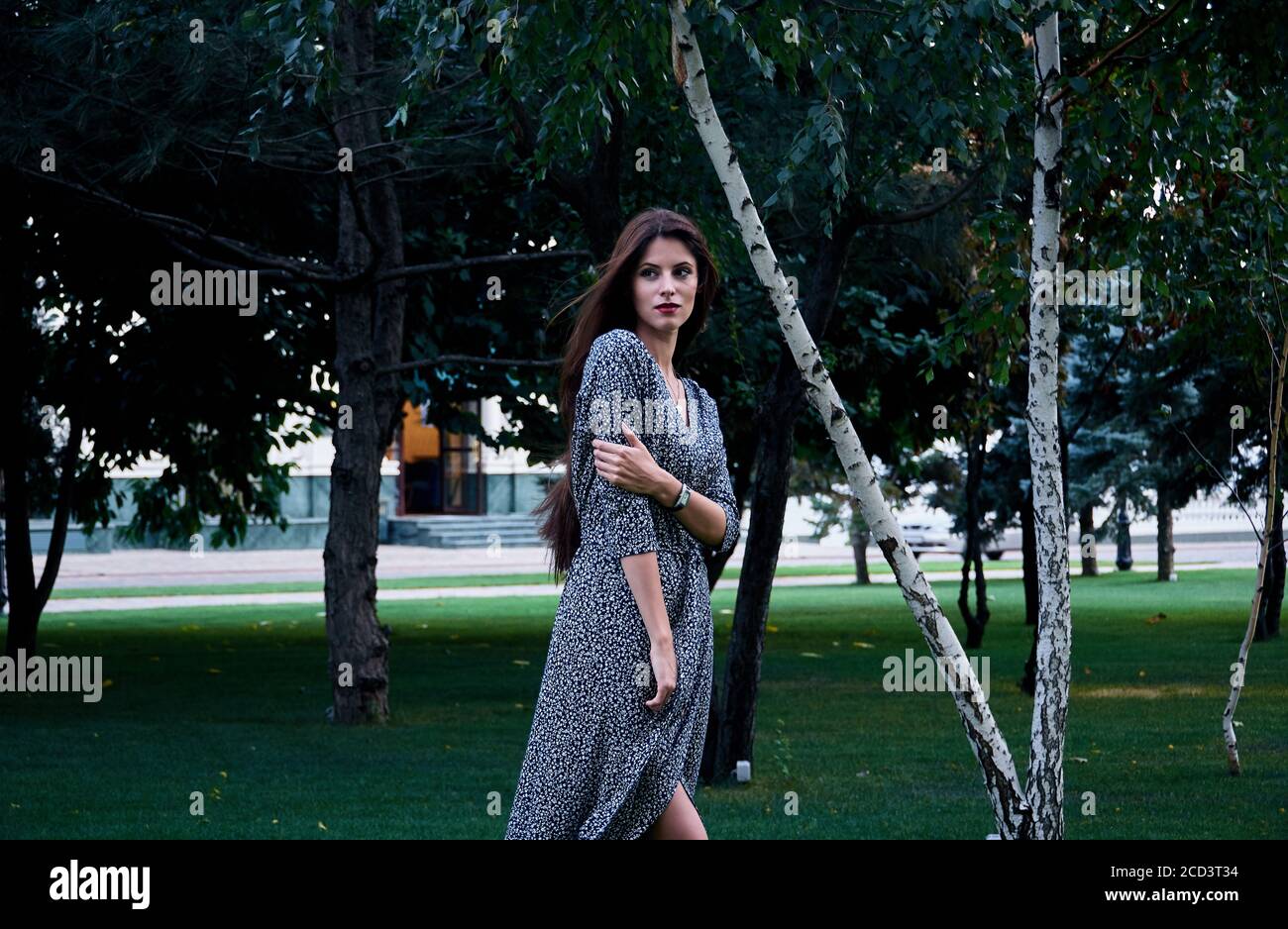 Portrait of woman with long brown hair, wearing long patterned wrap dress, standing in a park. Stock Photo