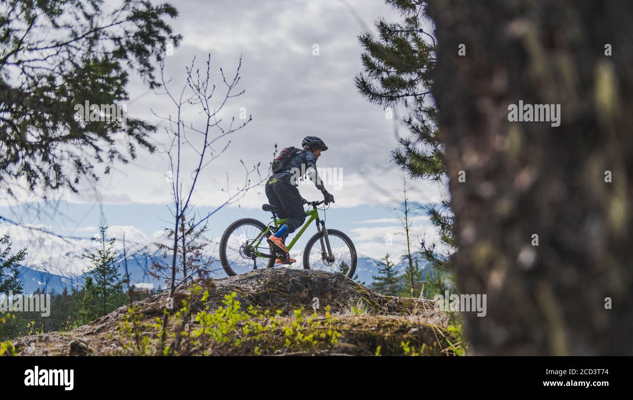 Woman mountain-biking in a forest in the Canadian mountains in British Columbia. Stock Photo