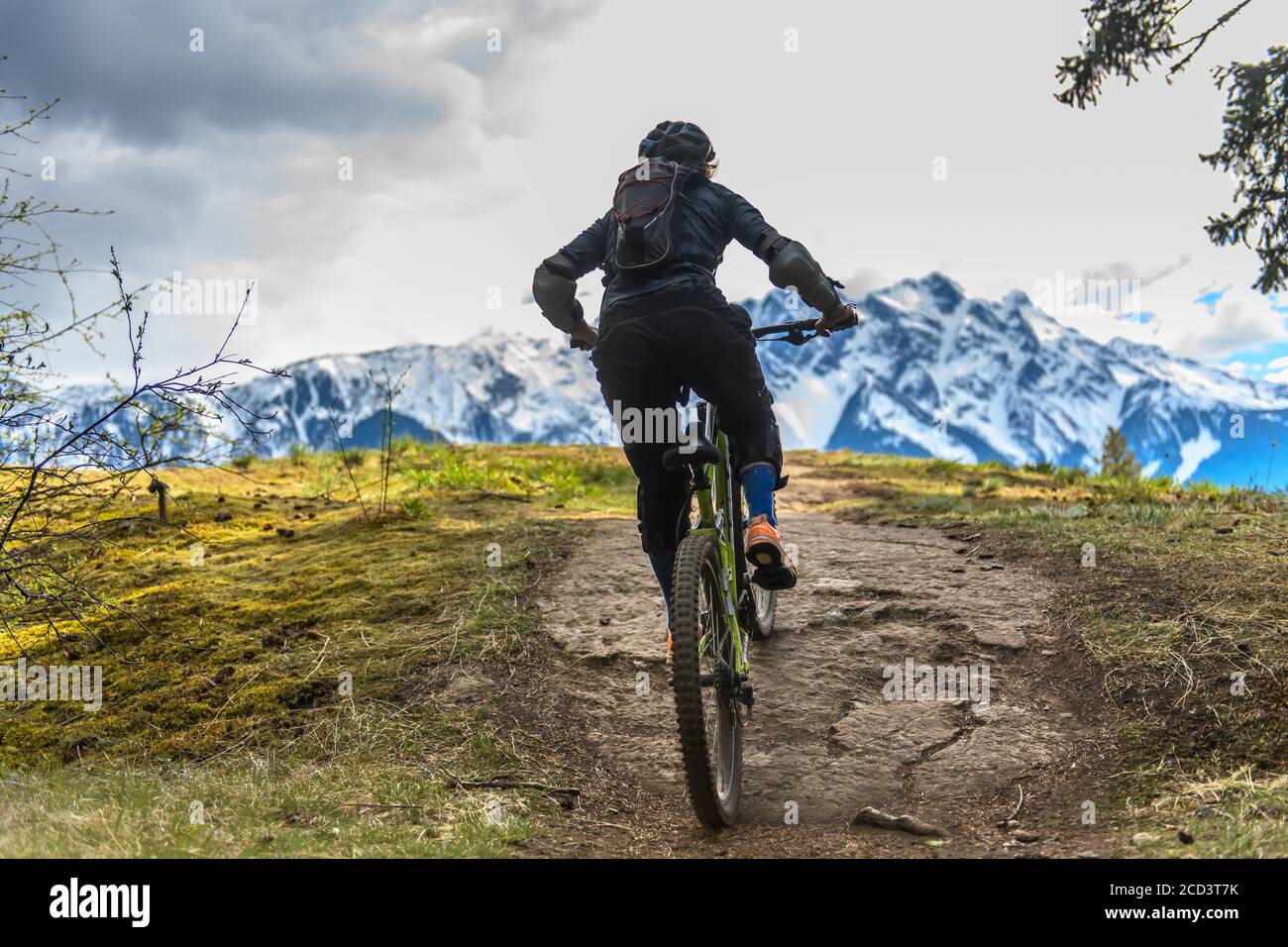 Woman mountain-biking in a forest in the Canadian mountains in British Columbia. Stock Photo