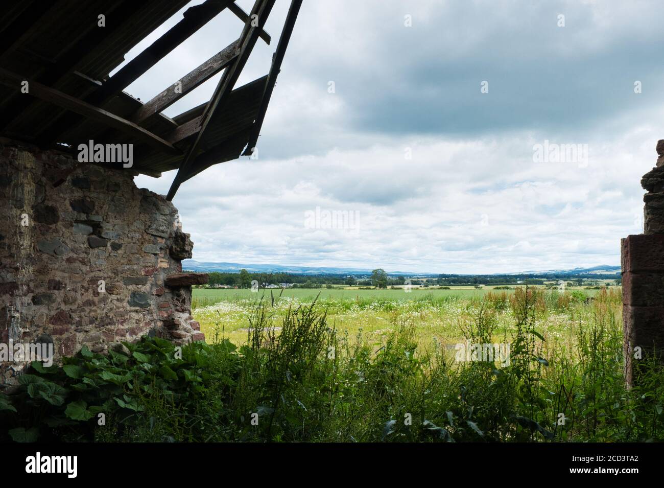 Looking from the remains of an old farm building through weeds foreground, to crop of oats and farmland.Dark clouds indicate that a storm is brewing. Stock Photo