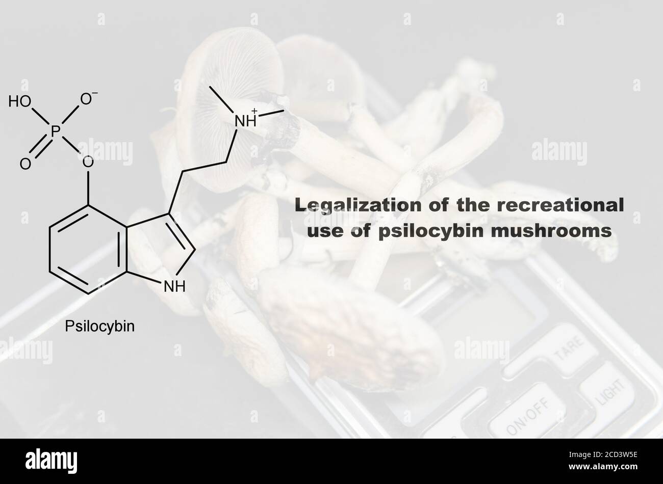 Legalization Of The Recreational Use Of Psilocybin Mushrooms ...