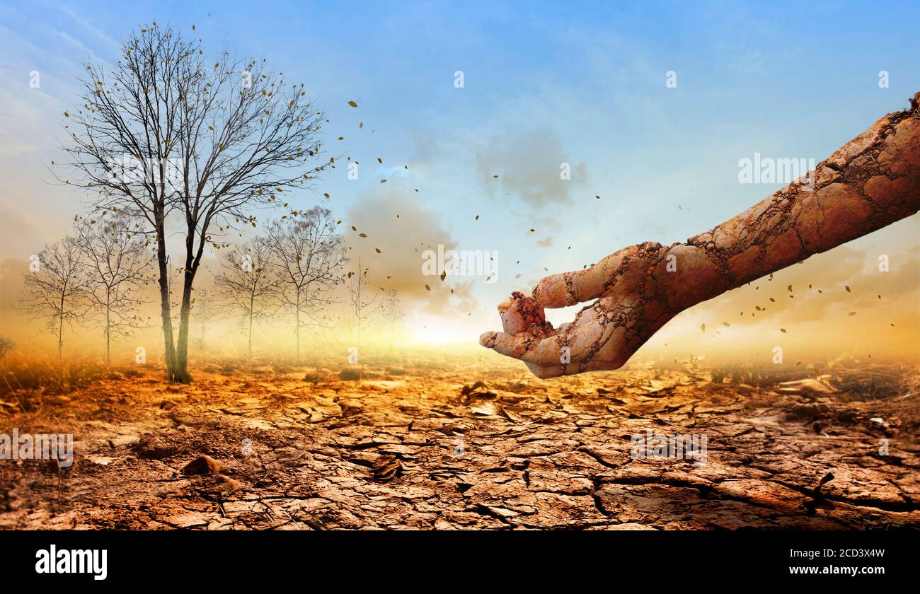 The dry, cracked hand from the dry ground on dead tree background.Concept of global warming. Stock Photo