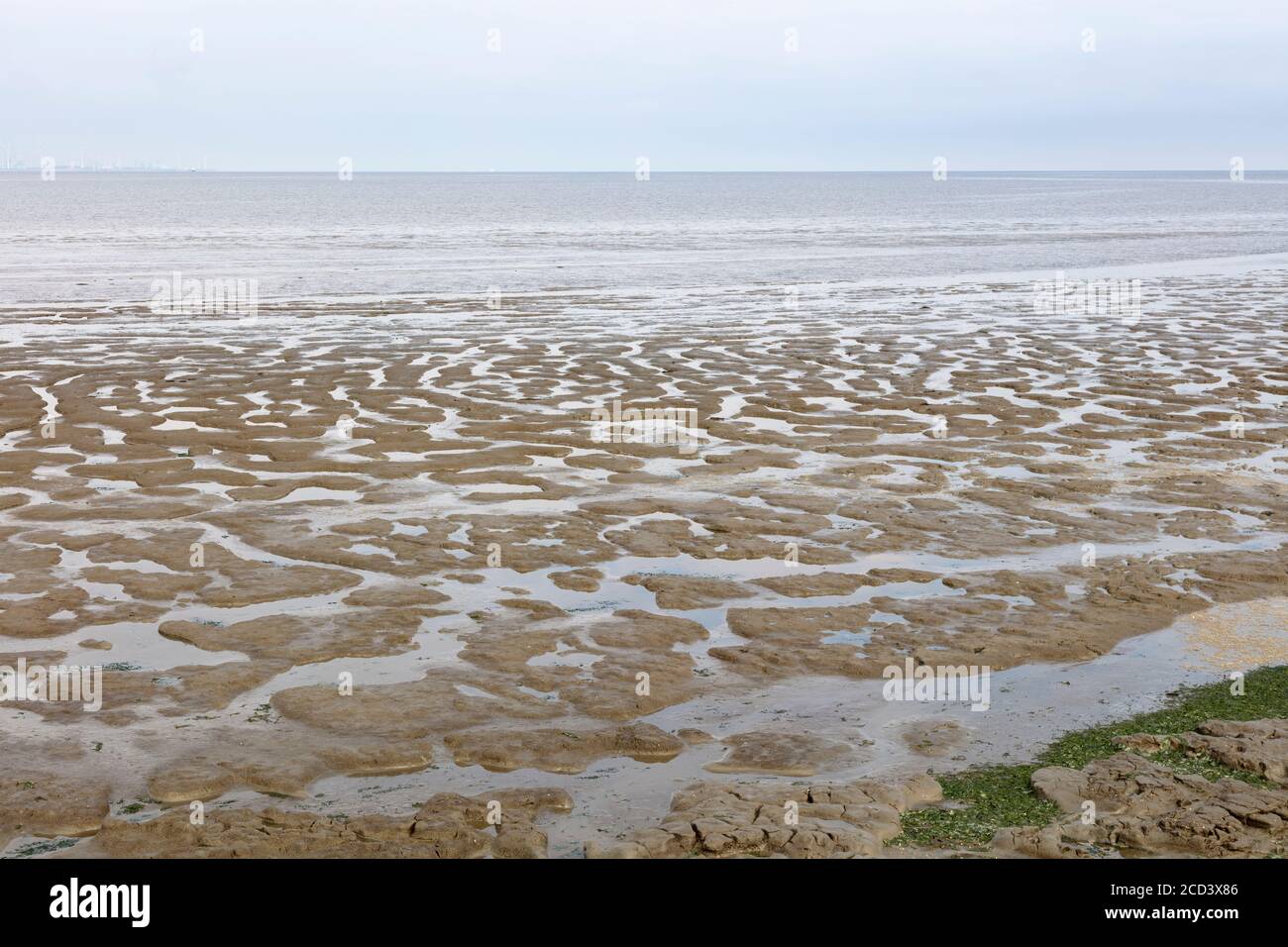 Ebb tide at the Nationalpark Wadden sea, East Frisia, Lower saxony, Germany, Europe Stock Photo