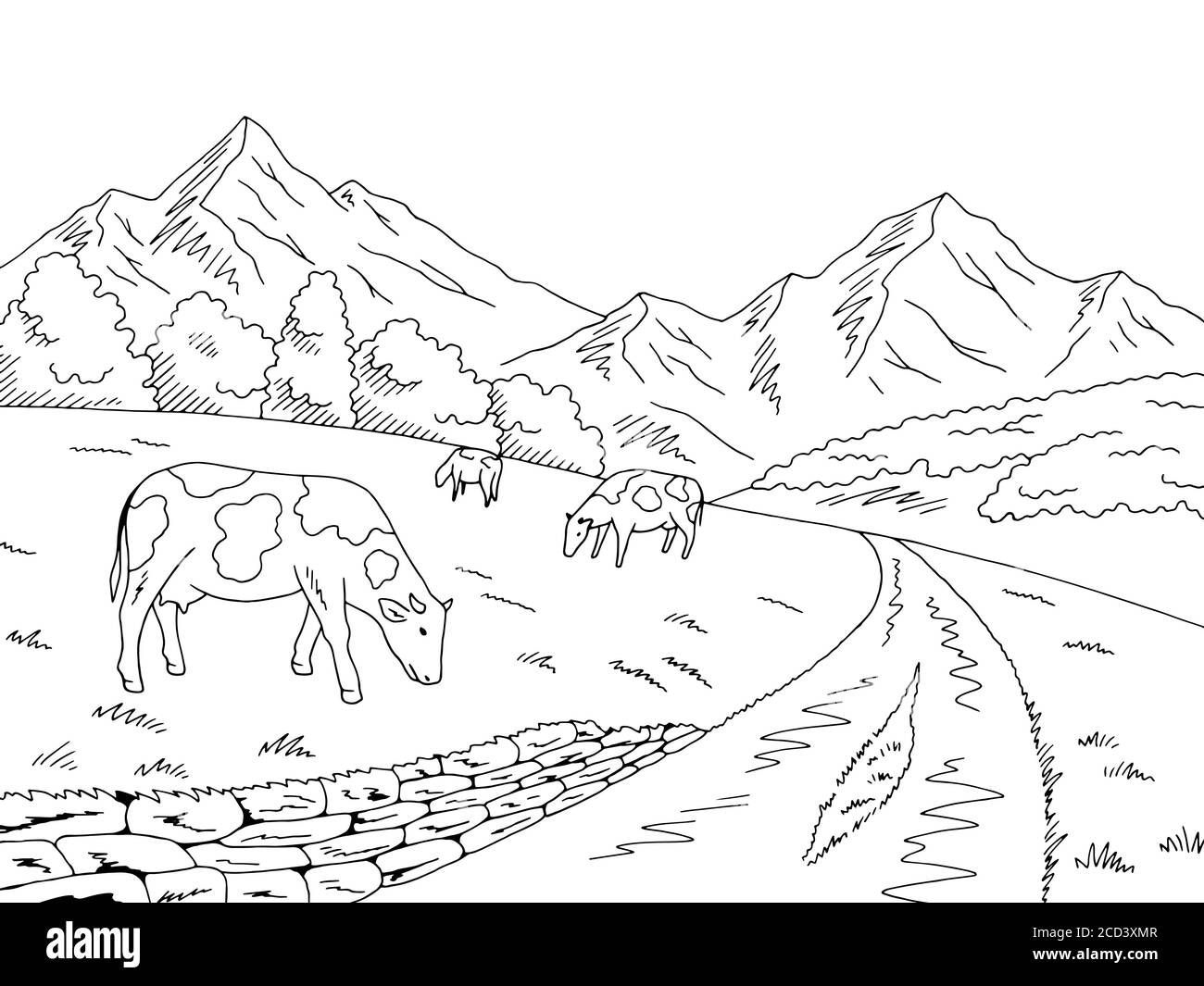 Cows feeding grass in a meadow in the mountains graphic black white ...