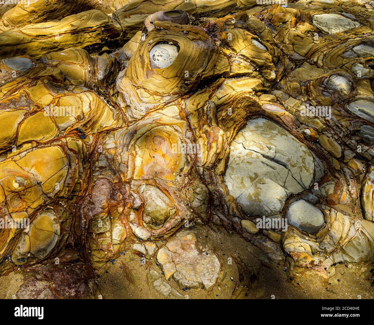 Close-up details of geological mud rock formations on Buckleton Beach ...