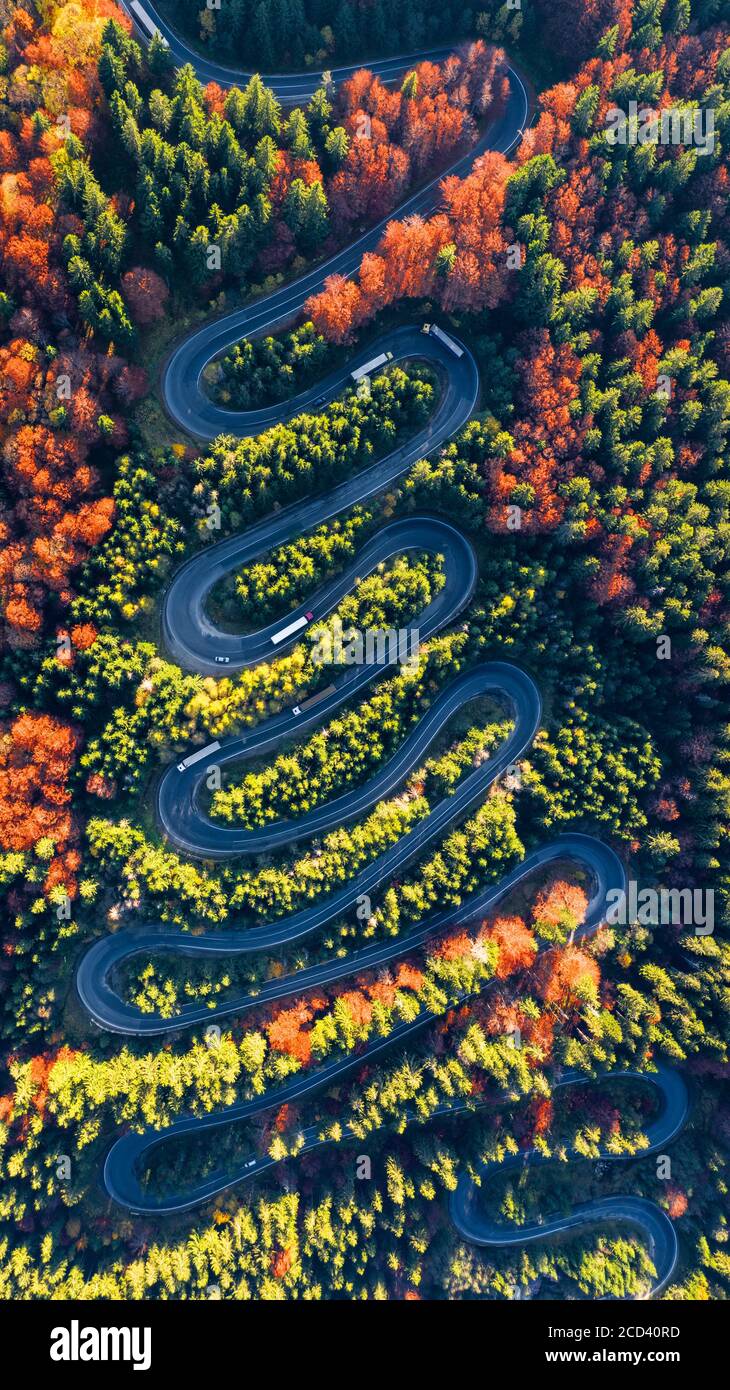 Carpathian Mountains, Romania. Winding road in fall forest scenery, mountain landscape. Stock Photo