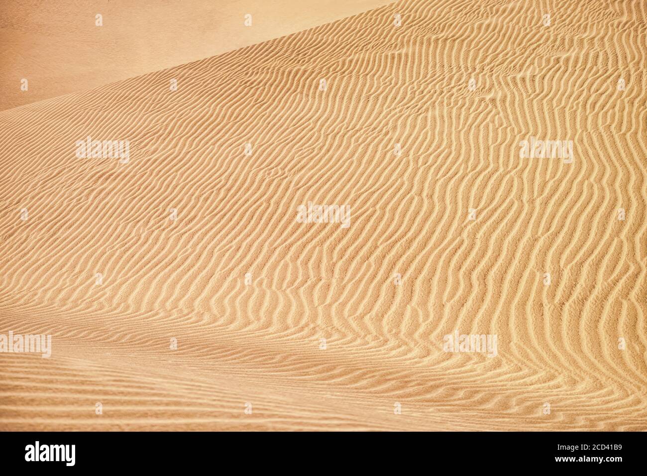 Texture ripple ripples desert hi-res stock photography and images - Alamy