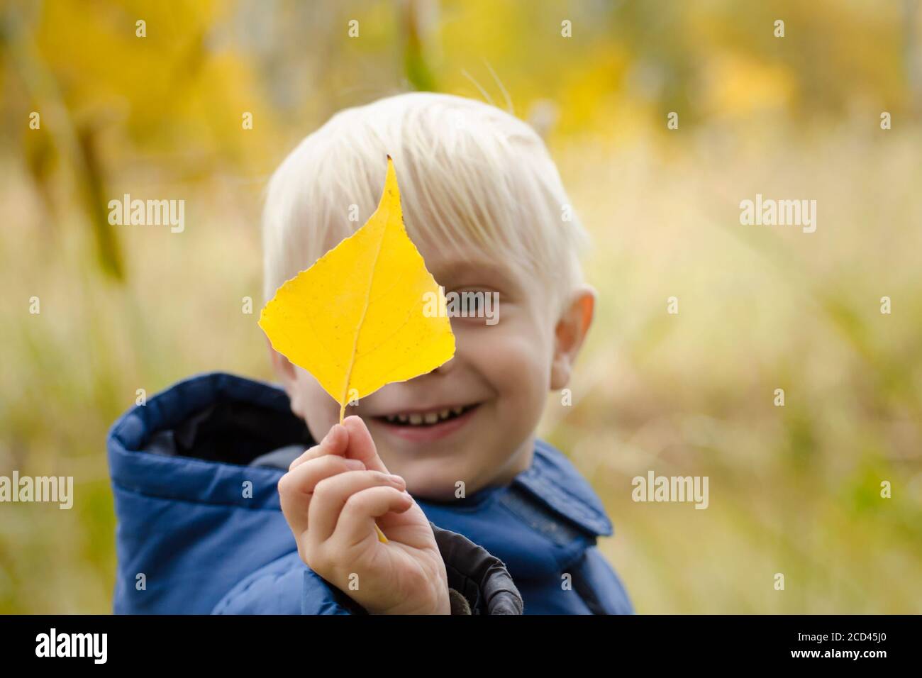 Blond boy holds a yellow leaf in front of him. Portrait Stock Photo - Alamy