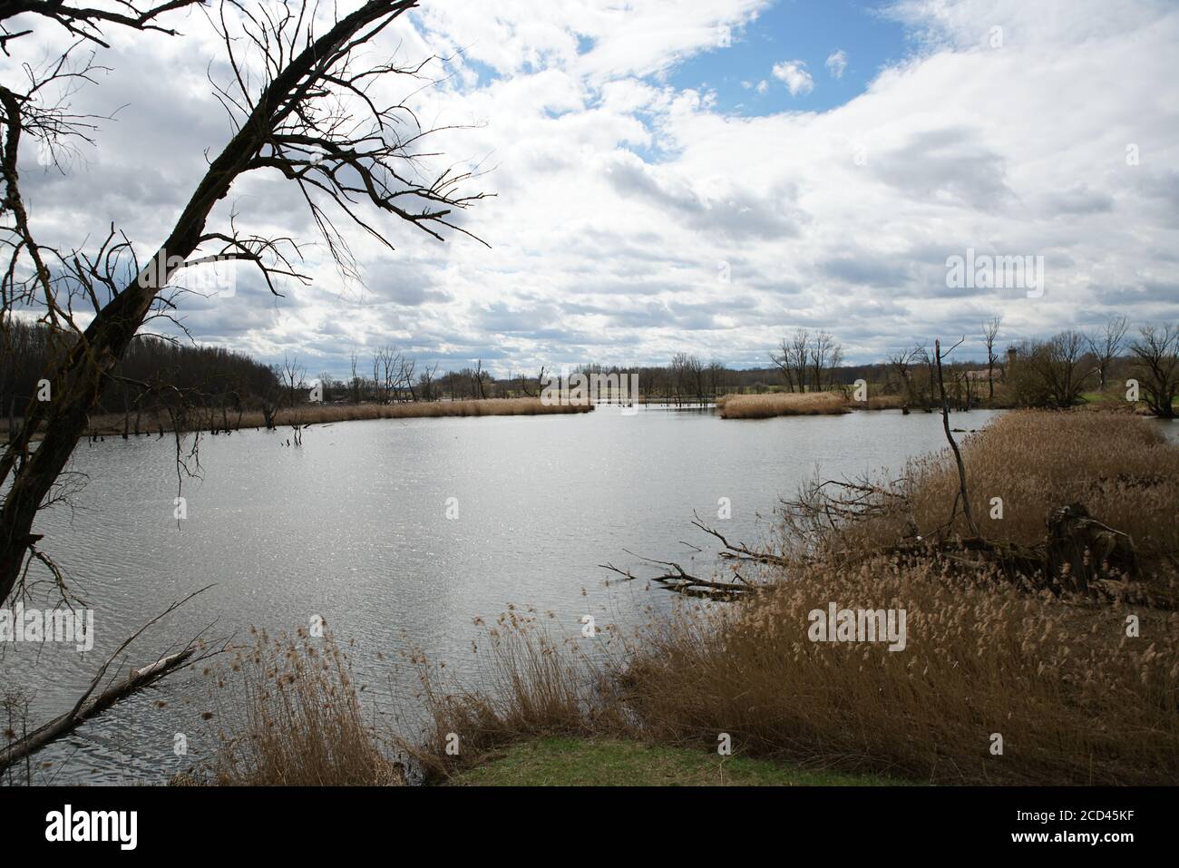 Beautiful shot of a lake and trees Stock Photo - Alamy