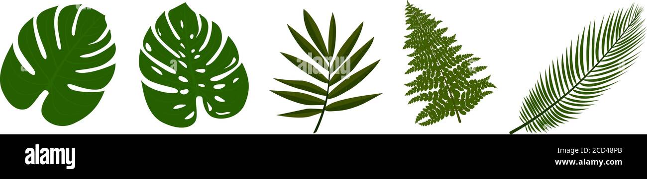 collection of tropical leaves isolated on white vector illustration Stock Vector