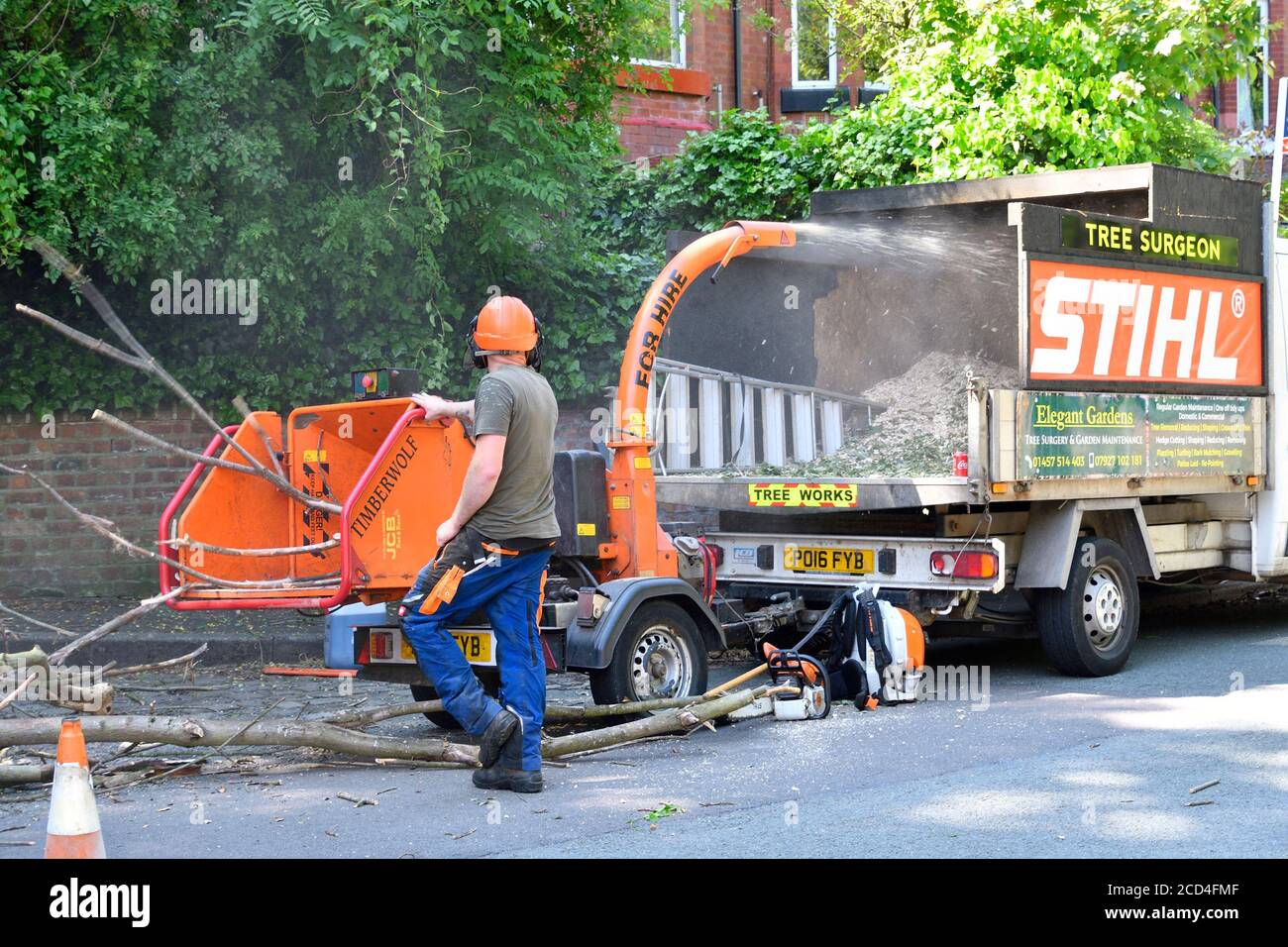 Tree surgeons cutting down dead trees Stock Photo Alamy