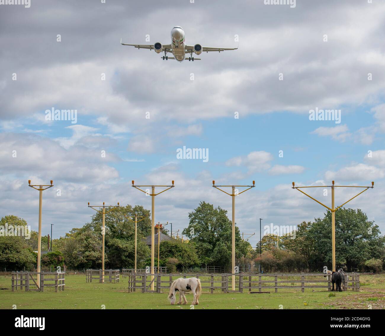 Heathrow Airport, London, UK. 26 August 2020. Aircraft on glide slope to runway 27L at Heathrow with horses grazing in the field containing landing approach lights. COVID-19 pandemic has seen the airline industry slump worldwide, with approx 11% of passengers at Heathrow in July 2020 compared with the same month in 2019, and approx 25% of air traffic movements at Heathrow in July 2020 compared with July 2019. Credit: Malcolm Park/Alamy. Stock Photo