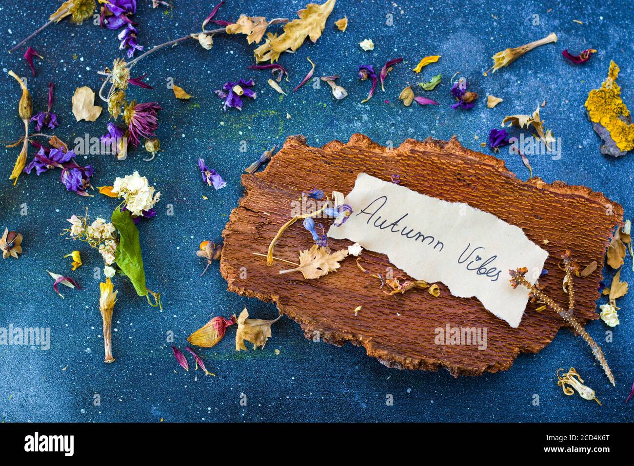 Autumn vibes travel memories, dried plants and flowers, copy paste space, letter and words on the old paper, herbarium theme. Stock Photo