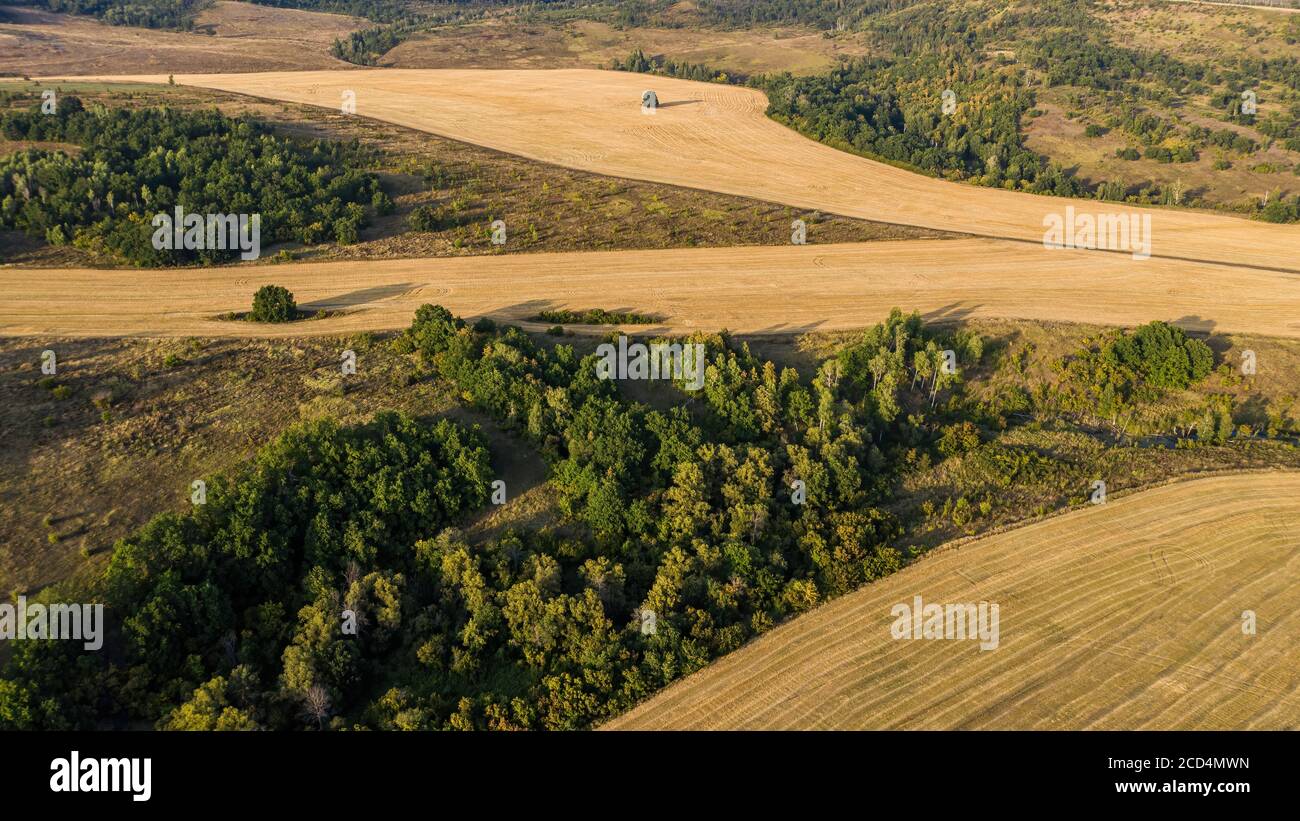 Aerial view wheat fields forest hi-res stock photography and images - Alamy