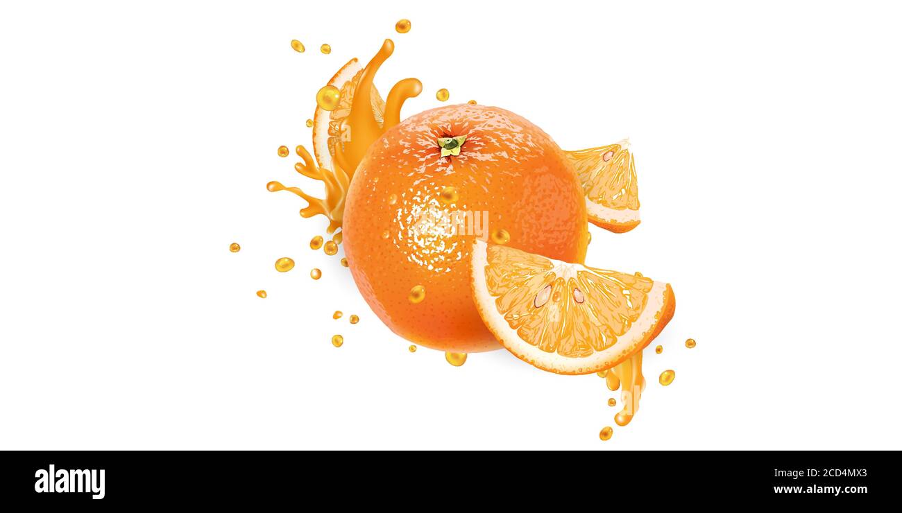 Whole orange and slices in fruit juice splashes Stock Vector Image ...