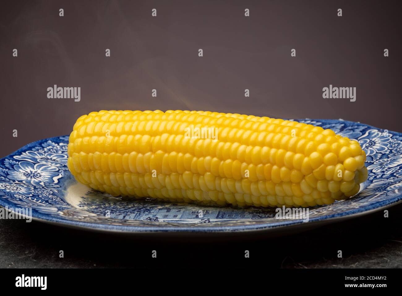 Corn on the cob, steaming after cooking in water, an American summer staple. Stock Photo