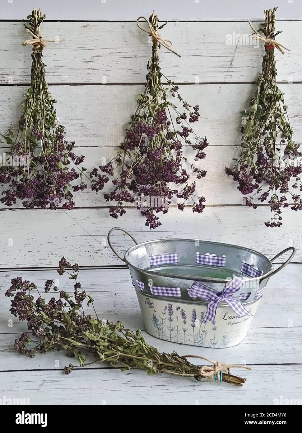 Harvesting Herbs Of Oregano Into Bundles And Preparation For Drying Concept Methods Of Preservation For Herbs Or Flowers For Future Use Stock Photo Alamy