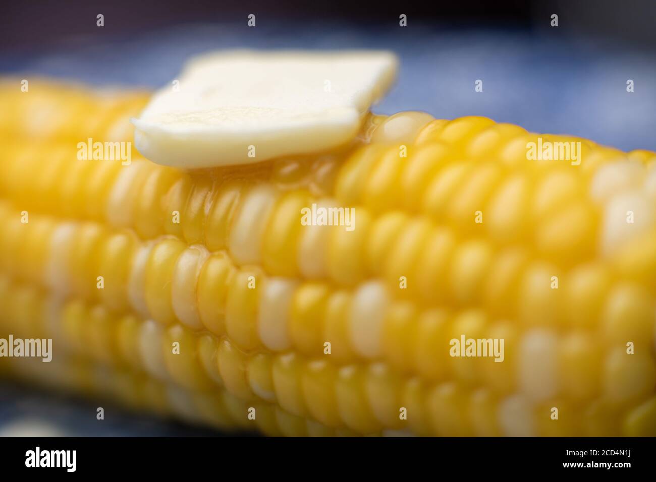 Corn on the cob with a pad of butter, an American summer staple. Stock Photo