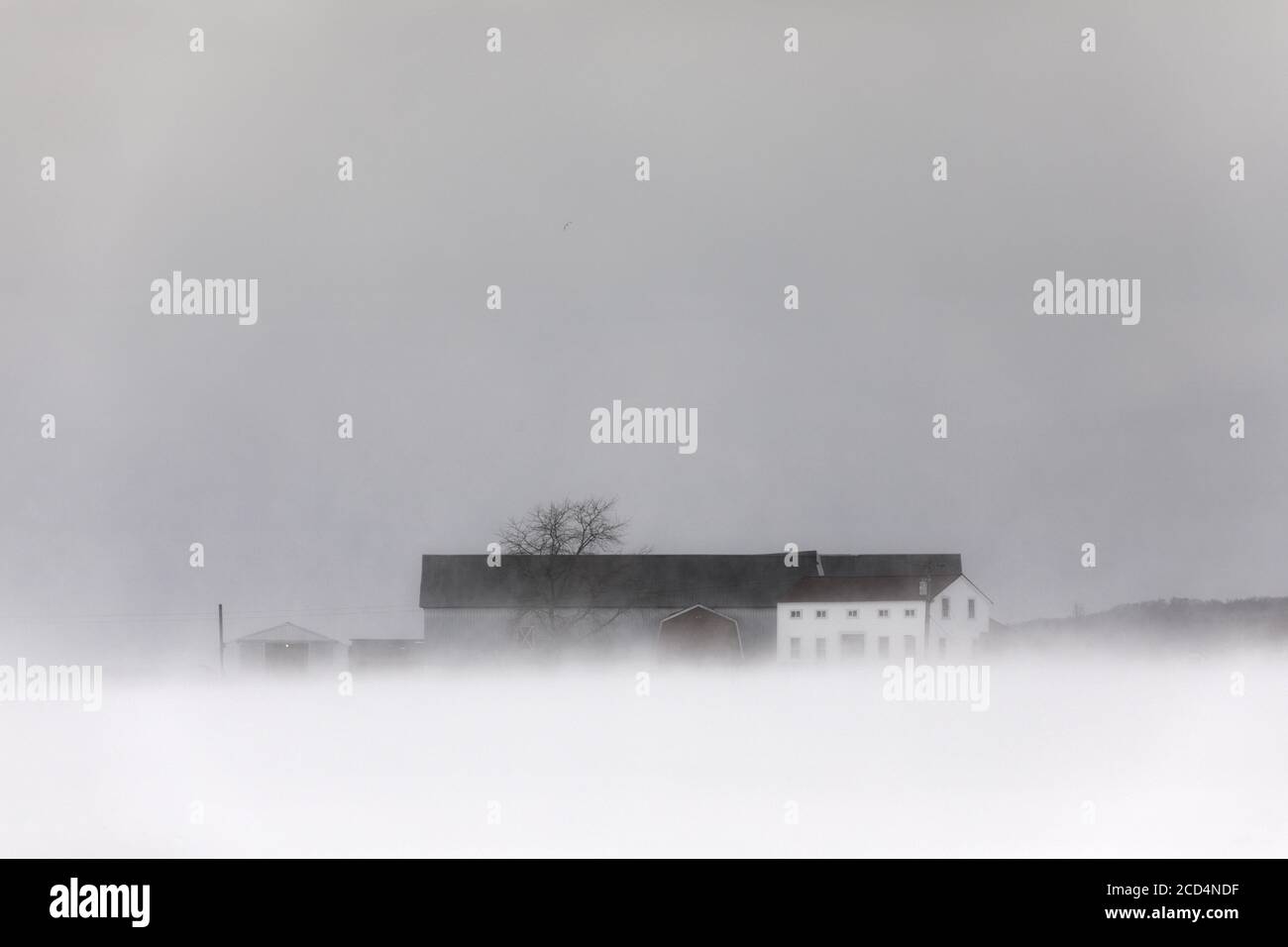 Mohawk Valley, New York State: Cold and blowing snow at an Amish farm. Stock Photo