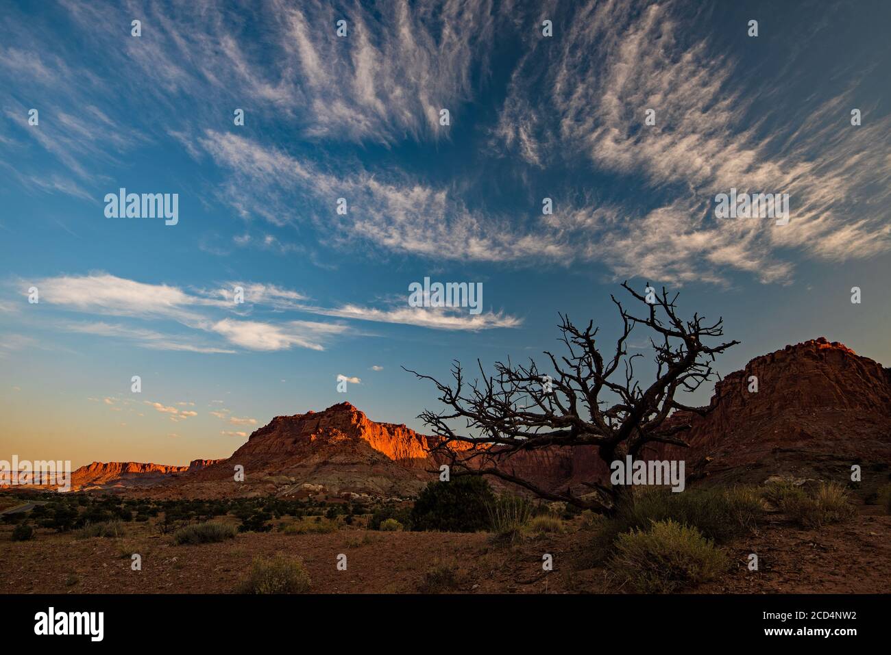 Desert scenic vistas in Capitol Reef National Park.  The warm morning light adds texture and color to the red rock mountains of Capitol Reef. Stock Photo