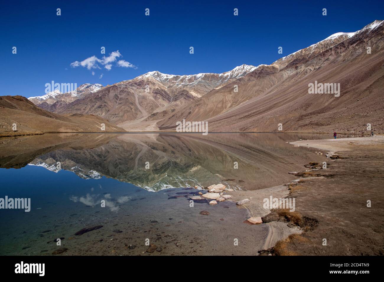 Bliv såret dateret Er velkendte A tourist enjoys the serene beauty of Chandra Tal on a clear day at an  altitude of 4250 m Stock Photo - Alamy
